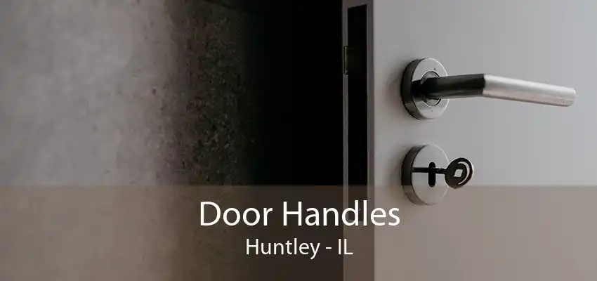 Door Handles Huntley - IL