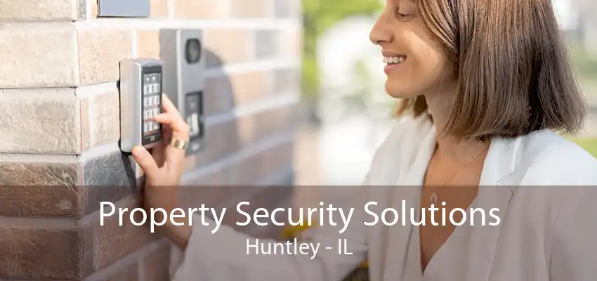 Property Security Solutions Huntley - IL